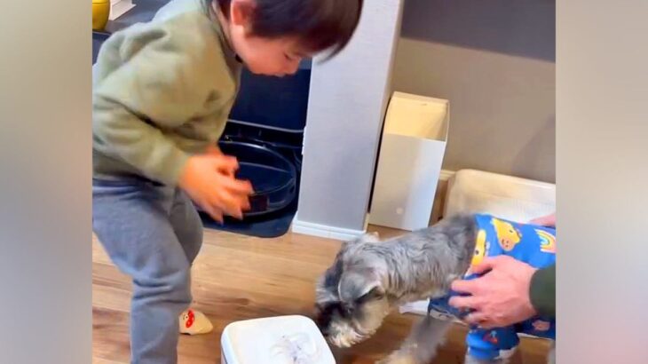 ご飯の前におやつを食べてしまった犬→すると男の子が…『怒りながらもご飯を用意してあげる光景』が尊いと5万再生「可愛すぎ」「しっかり者」(ブログ)