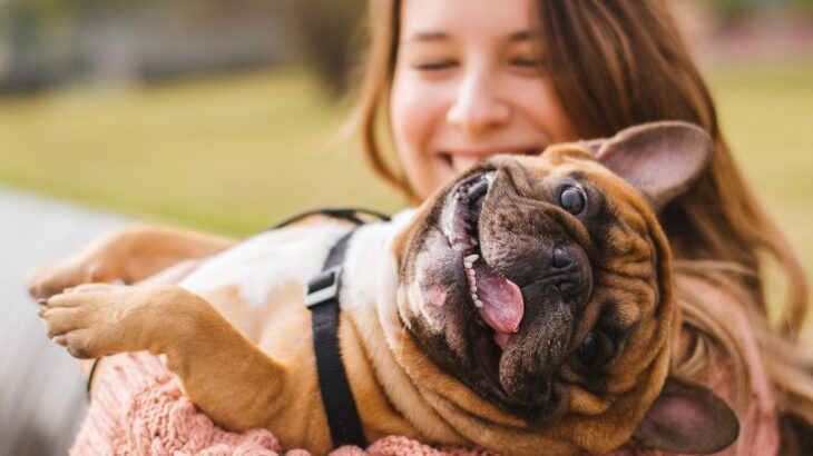 犬からの『大好きサイン』5選　愛犬がみせる愛情表現やアピールしてもらう方法まで(ブログ)