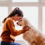 犬が『あなたに依存している』ときにみせる仕草や行動4選　ひとりで安心して過ごしてもらう方法とは(ブログ)