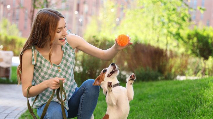 飼い主と遊ぶのが好きな犬の特徴5選　コミュニケーション能力が高いワンコがみせる仕草や行動とは？(ブログ)