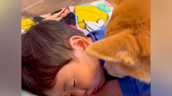 子供がなかなか起きないので『犬に起こすよう頼んでみた』結果…優しすぎる方法と『意外な結末』が50万再生「寝るんかいｗ」「なんて可愛いの」(ブログ)