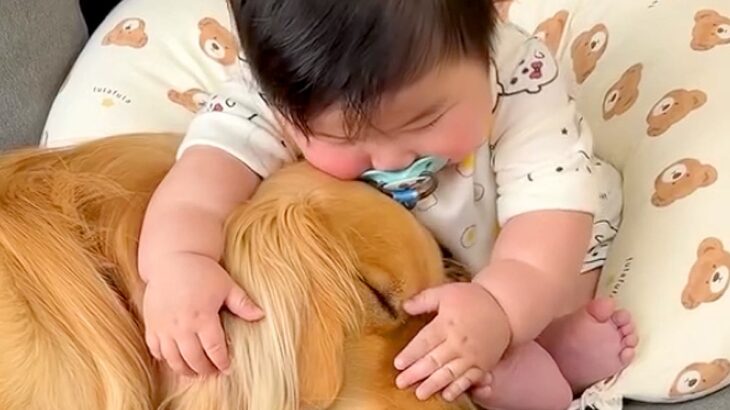 一緒に暮らす赤ちゃんと大型犬を『隠し撮りしてみた』結果…心が浄化される『尊い光景』が5万再生「なんて偉い子」「優しさに溢れてる」と絶賛(ブログ)
