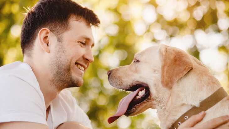 犬が飼い主に『ありがとう』を言っているサイン4選　愛犬が感謝を伝えてきたときの正しい対応まで(ブログ)