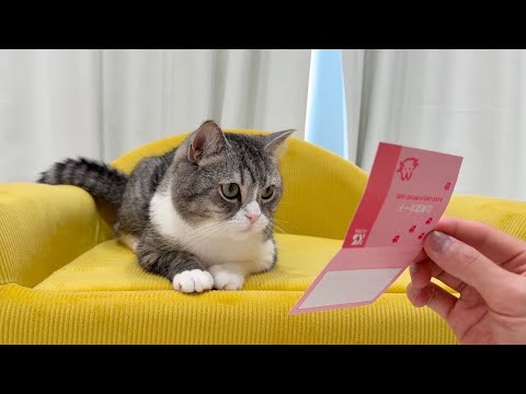 もち様の腎結石手術について重大な問題が発覚しました。(YouTube)