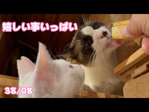 嬉しい事いっぱいです たまにはそういう日があってもね  2025 03 05 2(YouTube)