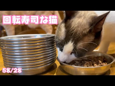 朝から回転寿司なんだよな  テツ  2025 03 25 1(YouTube)