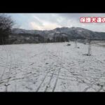 昨日の動画（ドッグフードの件）補足(YouTube)
