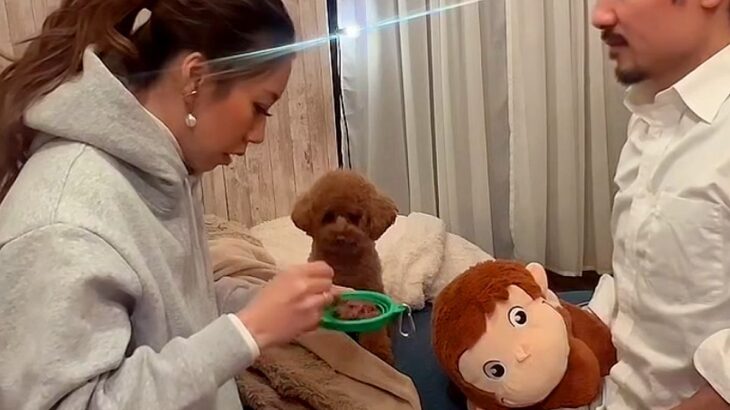 ご飯をあまり食べなくなった犬…パパを使った『まさかの解決方法』が59万再生「人の子と全く同じｗ」「登場人物全員可愛くて笑った」と絶賛(ブログ)