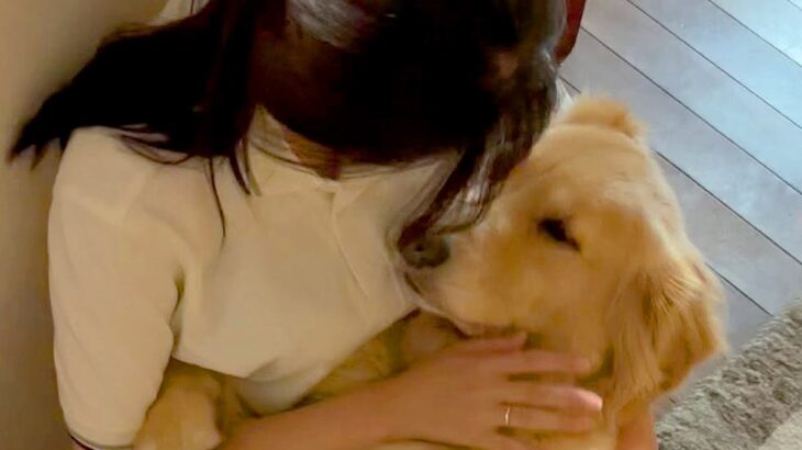 膝に乗ってきた『34kgの大型犬』→まるで赤ちゃんのように…自分の大きさがわかっていない光景が尊いと128万再生「最高の癒し」と悶絶の声(ブログ)