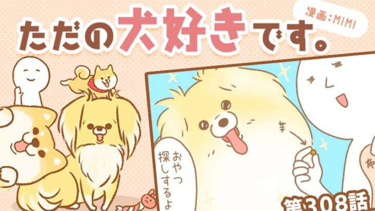 ただの犬好きです。【第308話】「待たれよ」(ブログ)
