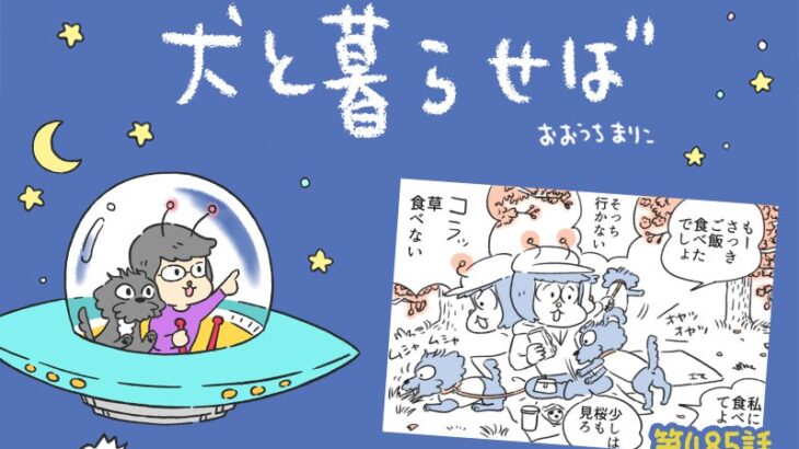犬と暮らせば【第485話】「帰り際まで厄介なイヌ」(ブログ)