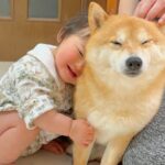 雷が鳴り怖くなってしまった犬→近くにいた0歳の赤ちゃんが…とんでもなく尊い『まさかの行動』が37万再生「すべてが愛おしい」「素敵な家族」(ブログ)