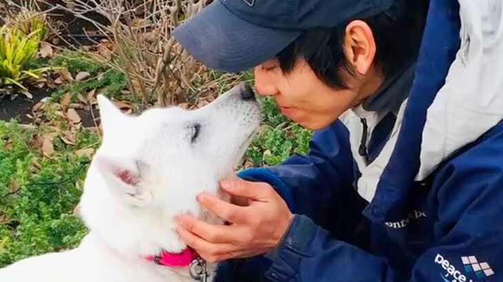皮膚がボロボロな保護犬→８年後…当時では考えられない姿で『保護してくれた人と再会する光景』に「涙が止まらない」「感動の一言」と10万再生(ブログ)