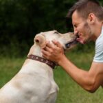 犬とのキスが危ない３つの理由　起こりうる感染症のリスクについて解説(ブログ)