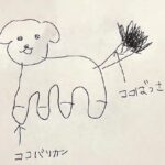 犬のトリミングで『雑過ぎるオーダー』をしてしまった結果…あまりにも衝撃的な『ビフォーアフター』が200万再生「正解が知りたいｗ」「爆笑」(ブログ)