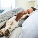 なぜ犬は『飼い主が寝ている場所』で寝たがるの？愛おしすぎる『5つの理由』とは(ブログ)