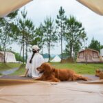 犬と『ゴールデンウィークを楽しむ』ための方法4つ　愛犬と一緒に満喫する方法から注意点まで(ブログ)