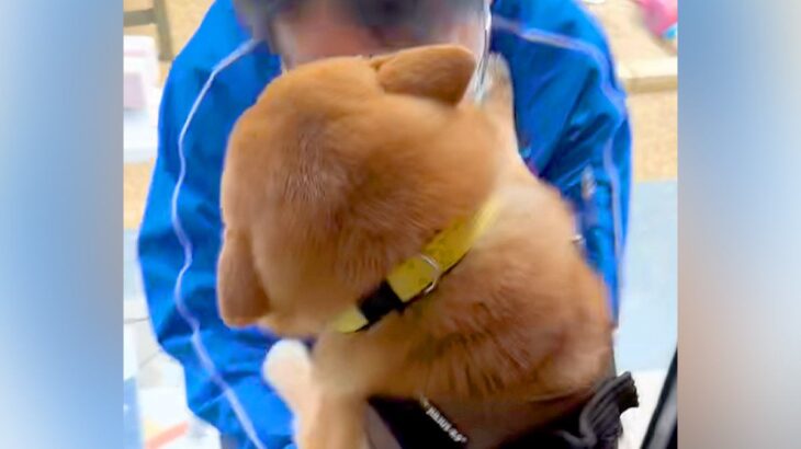 大好きな『佐川急便の配達員さん』と再会した犬→まるで大親友のような『愛おしすぎる対応』が198万再生「めっちゃホッコリ」「素敵すぎ」(ブログ)