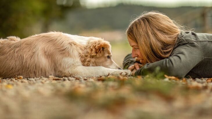 飼い主が『ネガティブ思考』だと犬に悪い影響がある？愛犬に伝染しかねない理由とは(ブログ)