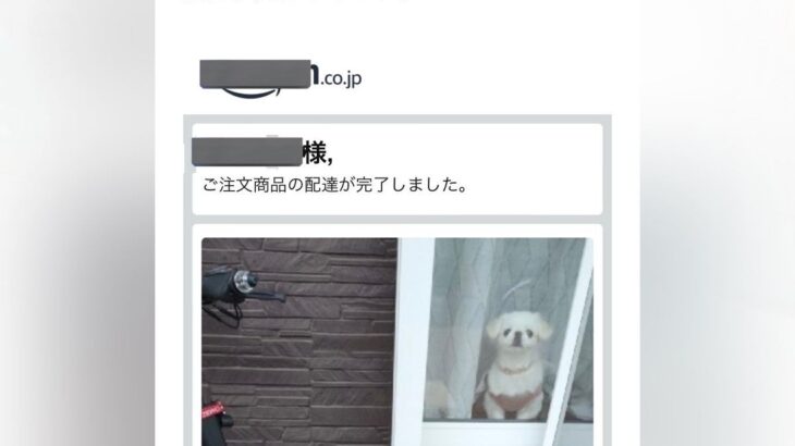 配達員から『配達完了通知』が届いたと思ったら…驚きの『一刻も早く帰りたくなる光景』に12万いいね「粋な計らいにほっこり」「犬可愛いｗ」(ブログ)