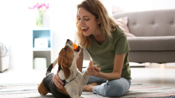 犬が『遊び』に興味を示さないのはどうして？愛犬に楽しく遊んでもらうためのコツを解説(ブログ)
