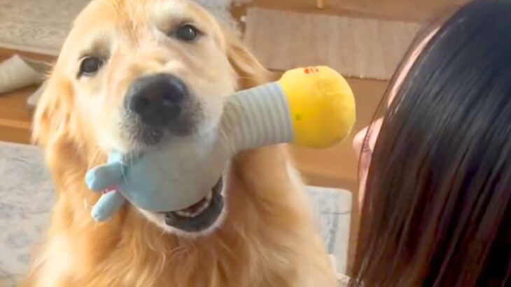 大型犬が『お姉ちゃんを熱烈大歓迎した』結果…思わず耳を疑う『意外すぎる鳴き声』が98万再生「しっぽちぎれそうｗ」「最高の歓迎」と絶賛(ブログ)