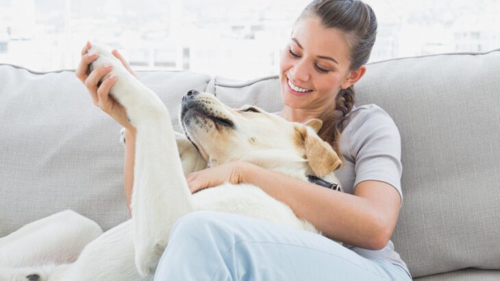 お散歩後の犬の足は洗うべき？拭くべき？触られるのが苦手な場合のコツや改善策まで(ブログ)