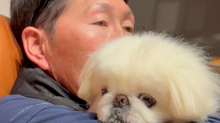 仕事に行く前のお父さんと犬→お互い離れたくなくて…想像以上に『相思相愛な光景』が話題「悲しそう」「顔がｗ」と2万再生(ブログ)