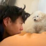 『顔を舐められたくない飼い主』と『舐めたい犬』の攻防戦→まさかの『悔しくてブチギレる光景』が281万再生「間抜けで好きｗ」「文句がｗ」(ブログ)