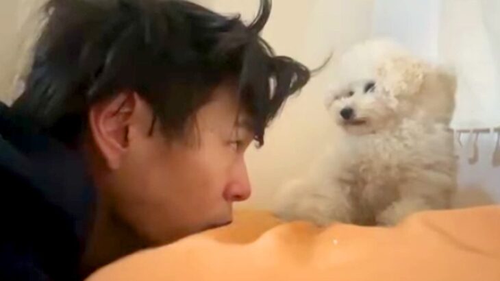『顔を舐められたくない飼い主』と『舐めたい犬』の攻防戦→まさかの『悔しくてブチギレる光景』が281万再生「間抜けで好きｗ」「文句がｗ」(ブログ)