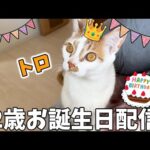 トロ2歳のお誕生日会🎂🎉(YouTube)