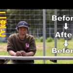 【凶暴化ピットブル】二度と間違いが起こらない為に総集編を配信させて頂きます(YouTube)