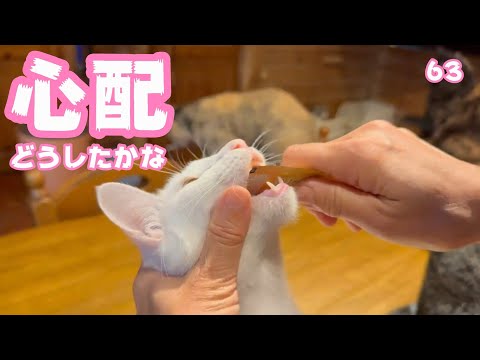 心配です どうしたかな  ネオ   2025 04 30 1(YouTube)