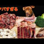 眠くなる動画!!骨ごと噛み砕く咀嚼音が気持ち良すぎる(YouTube)