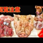 犬が食べる音!!生肉を豪快に食べるピットブルの咀嚼音がクセになる(YouTube)