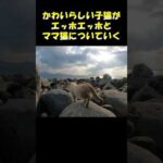 かわいらしい子猫がエッホエッホとママ猫についていく #猫 #ネコ #cat(YouTube)