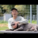 【ピットブル】とっつぁんのご報告・後半非常に為になること話してます(YouTube)