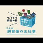 上野動物園の飼育係の「お仕事ダイジェスト」(YouTube)