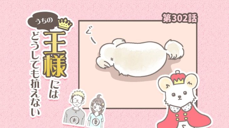 うちの王様にはどうしても抗えない【第302話】「わざとじゃないです」(ブログ)