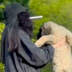 大型犬の赤ちゃんを抱っこして撮影→数年後『全く同じ撮り方』をしてみた結果…「撮り方が天才」「面白すぎるｗｗ」まさかの光景が話題に(ブログ)