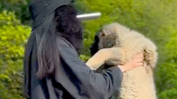 大型犬の赤ちゃんを抱っこして撮影→数年後『全く同じ撮り方』をしてみた結果…「撮り方が天才」「面白すぎるｗｗ」まさかの光景が話題に(ブログ)