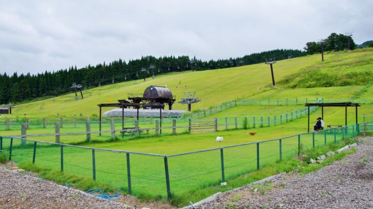 犬のドッグランで絶対やってはいけない『タブー行為』３つ　利用する前に必ず知っておくべきこととは？(ブログ)