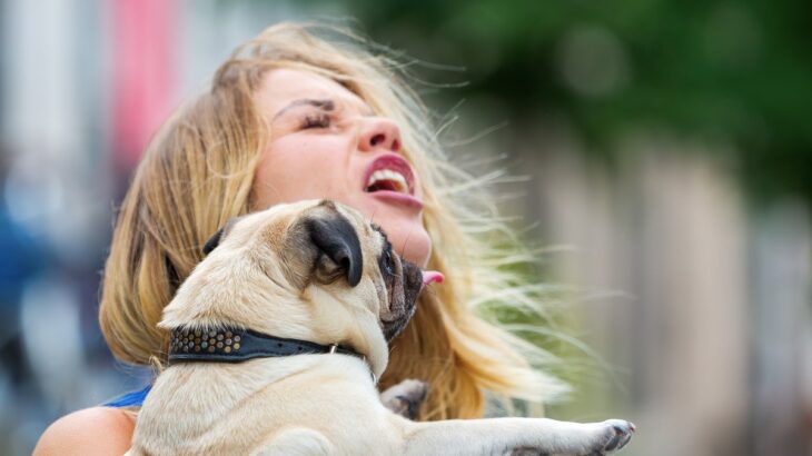 犬が人の『顔を舐める』心理5選　やめさせなくて大丈夫？しつこくしてくるときの対処法まで(ブログ)