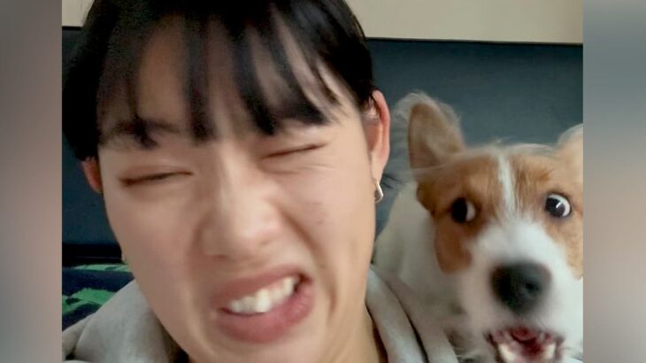 『ワンッ！！』犬の前で”犬語”を練習した結果→物凄い剣幕で…『まさかのリアクション』が57万再生「口論してて草」「可愛すぎて５周見たｗ」(ブログ)