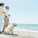 飼い主の万が一に備えて…愛犬の未来を守る保険、知っていますか？(ブログ)