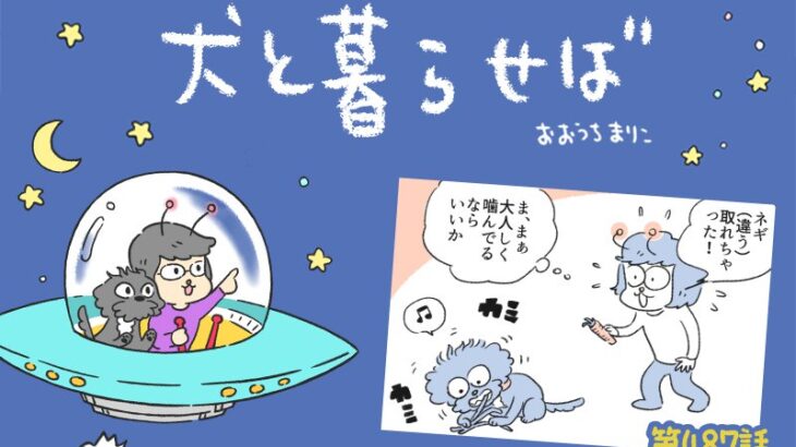 犬と暮らせば【第487話】「消えたネギ②」(ブログ)