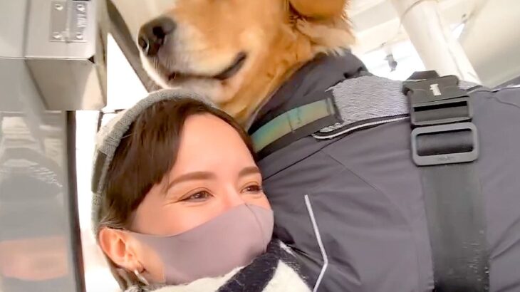初めてゴンドラに乗ったら、一緒にいた大型犬が…予想以上に『大パニックになる光景』が49万再生「しがみついてるｗ」「なんて微笑ましい家族」(ブログ)