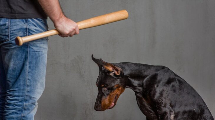 犬にとってトラウマとなってしまう『絶対NG行為』5選　精神的苦痛を感じているサインとは(ブログ)