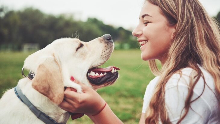 犬が飼い主にみせる『幸せサイン』5選　愛犬の幸福度が高まるタイミングとは？(ブログ)
