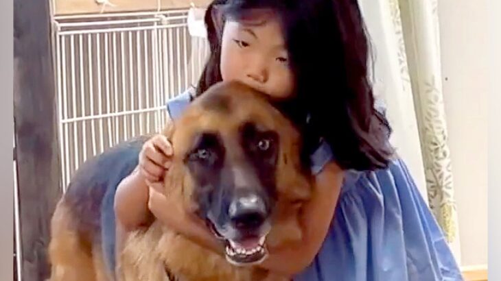 『数十年後、大人になった時に…』小さな女の子と大型犬が”一緒に成長していく光景”に涙が溢れると65万再生「泣けてきた」「素敵な日々を」(ブログ)